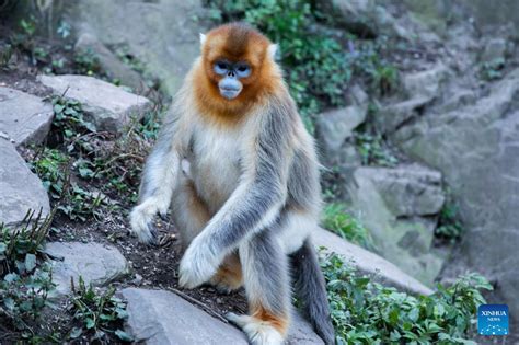 玉合公園怎麼樣 且談其園內四季變幻之美